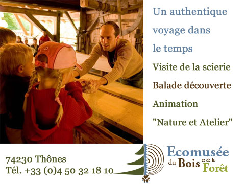 animation culturelle activité loisirs à Thônes, visite de la scierie, atelier de menuiserie pour enfants balade en forêt
