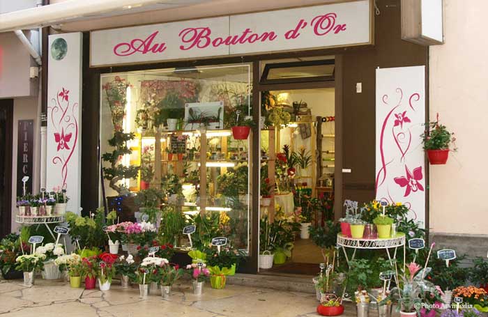 grand choix de plantes et de fleurs pour toutes les occasions et pour tous les évènements