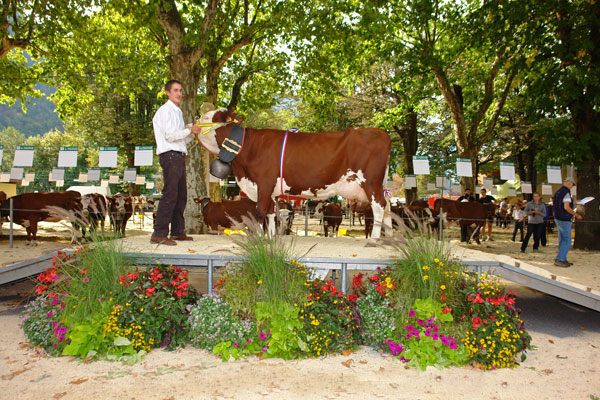 Foire de la Saint Maurice à Thônes la foire de la Saint Maurice à lieu chaque année au mois de septembre à Thônes