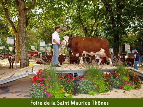 Toutes les années au mois de septembre, marché aux bestiaux, fête traditionnelle de montagne Haute Savoie