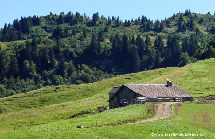 Ferme chez Denise Alpage Col des Aravis nos fromages reblochon tomme et raclette sont vendus directement à la ferme à Thônes