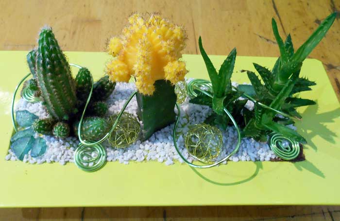 Résultat de recherche d'images pour "composition florale de fleuriste avec des cactus"