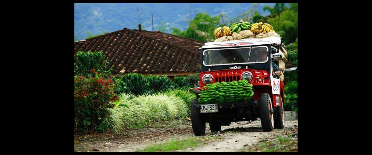 Restaurant Latino de spécialités Colombiennes et Vénézuéliennes à déguster dans un cadre tropical ou à emporter. Jus de fruits frais naturels