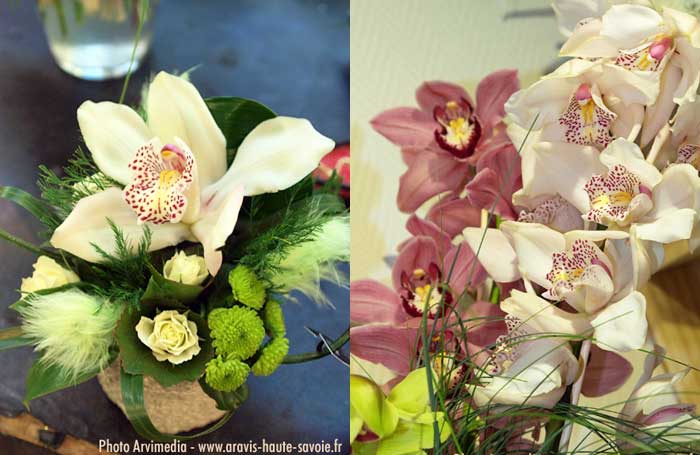 magie des fleurs photo arvimedia pour le bouton d'or à thones